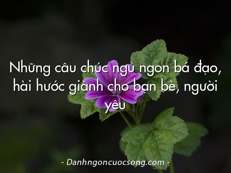 Những câu chúc ngủ ngon bá đạo, hài hước giành cho bạn bè, người yêu