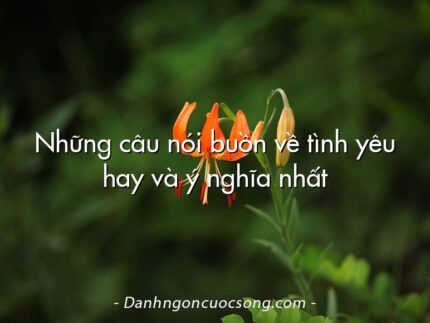 Những câu nói buồn về tình yêu hay và ý nghĩa nhất