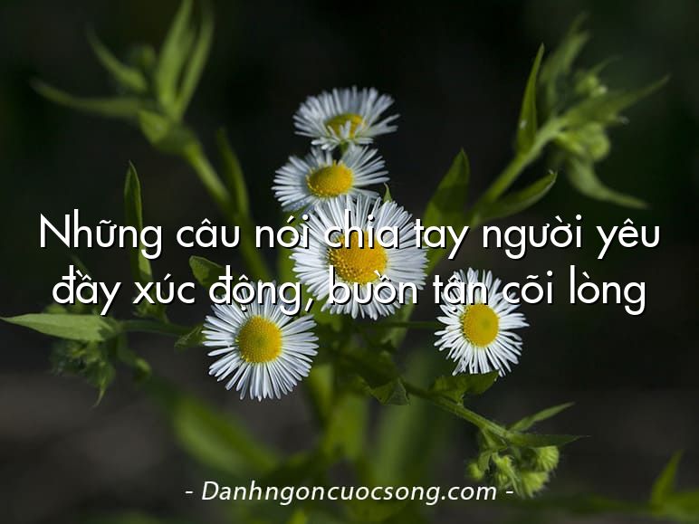 Những câu nói chia tay người yêu đầy xúc động, buồn tận cõi lòng