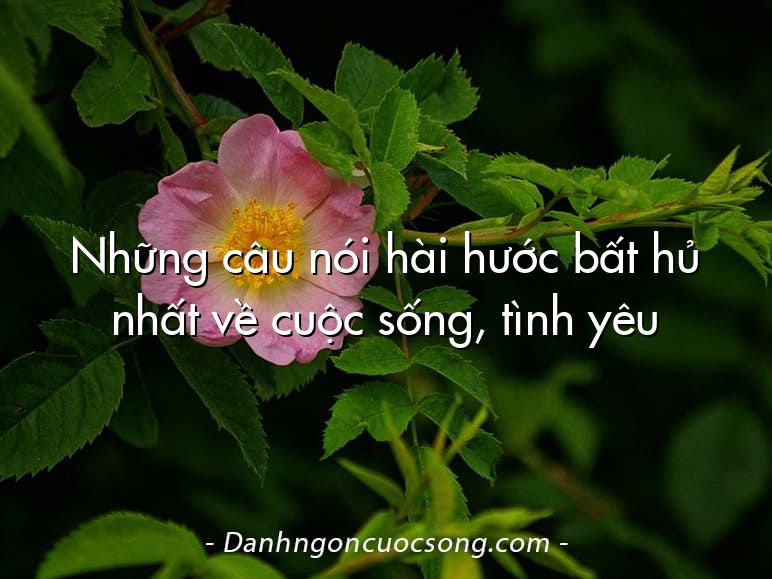 Những câu nói hài hước bất hủ nhất về cuộc sống, tình yêu