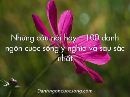 Những câu nói hay – 100 danh ngôn cuộc sống ý nghĩa và sâu sắc nhất