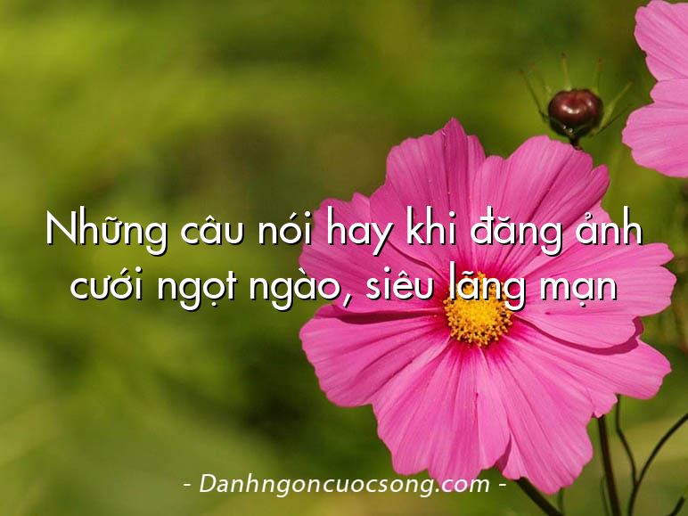 Những câu nói hay khi đăng ảnh cưới ngọt ngào, siêu lãng mạn