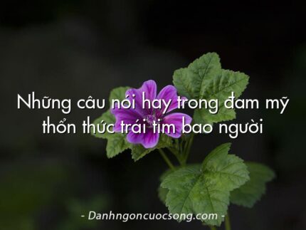Những câu nói hay trong đam mỹ thổn thức trái tim bao người