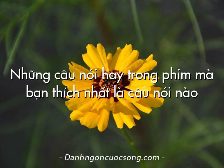 Những câu nói hay trong phim mà bạn thích nhất là câu nói nào