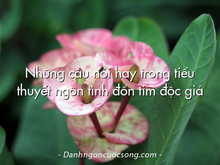 Những câu nói hay trong tiểu thuyết ngôn tình đốn tim độc giả