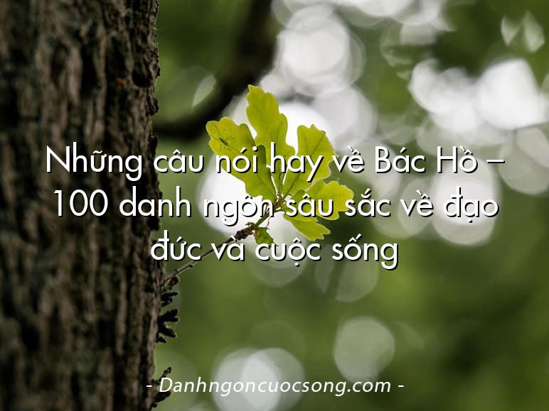 Những câu nói hay về Bác Hồ – 100 danh ngôn sâu sắc về đạo đức và cuộc sống