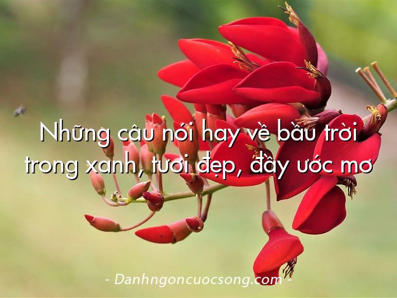 Những câu nói hay về bầu trời trong xanh, tươi đẹp, đầy ước mơ