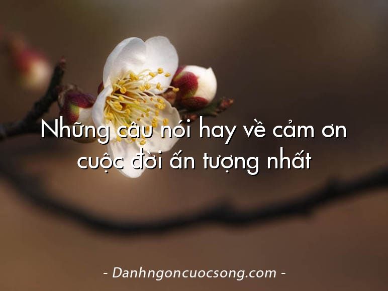 Những câu nói hay về cảm ơn cuộc đời ấn tượng nhất