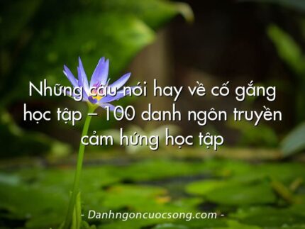 Những câu nói hay về cố gắng học tập – 100 danh ngôn truyền cảm hứng học tập