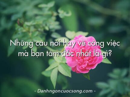 Những câu nói hay về công việc mà bạn tâm đắc nhất là gì?
