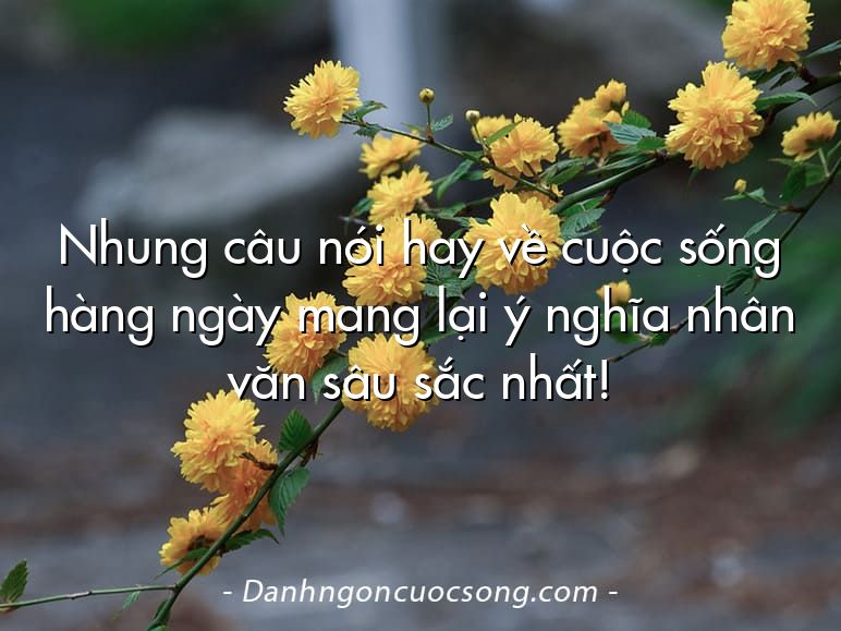 Nhung câu nói hay về cuộc sống hàng ngày mang lại ý nghĩa nhân văn sâu sắc nhất!