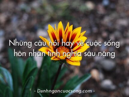 Những câu nói hay về cuộc sống hôn nhân tình nghĩa sâu nặng