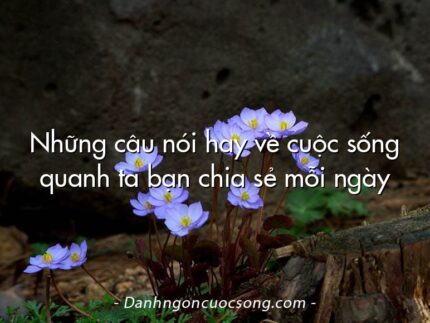 Những câu nói hay về cuộc sống quanh ta bạn chia sẻ mỗi ngày