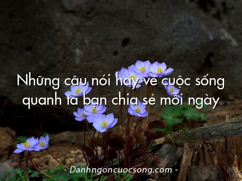 Những câu nói hay về cuộc sống quanh ta bạn chia sẻ mỗi ngày