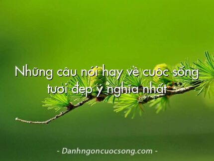 Những câu nói hay về cuộc sống tươi đẹp ý nghĩa nhất
