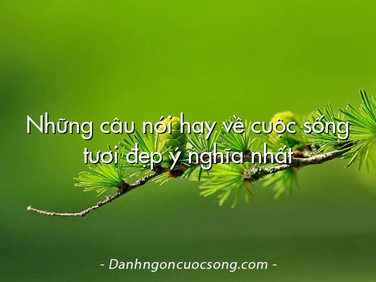 Những câu nói hay về cuộc sống tươi đẹp ý nghĩa nhất