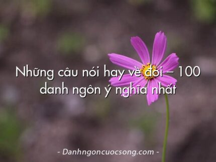 Những câu nói hay về đời – 100 danh ngôn ý nghĩa nhất