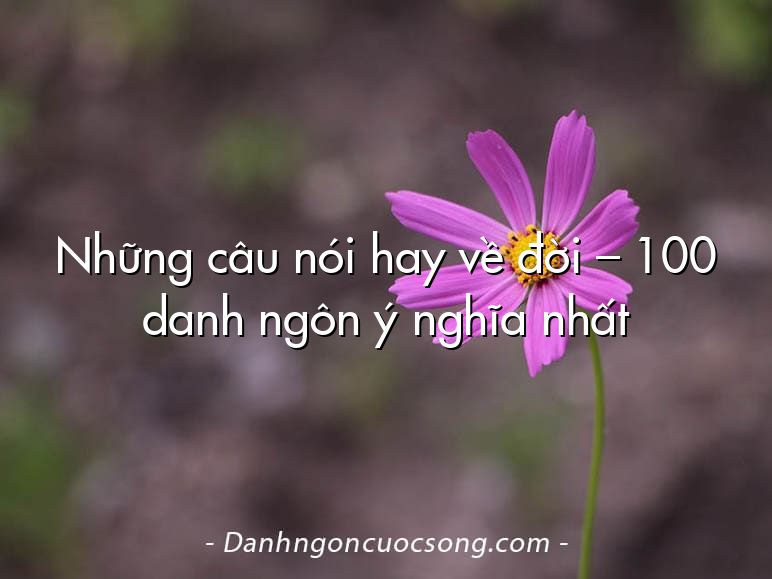 Những câu nói hay về đời – 100 danh ngôn ý nghĩa nhất