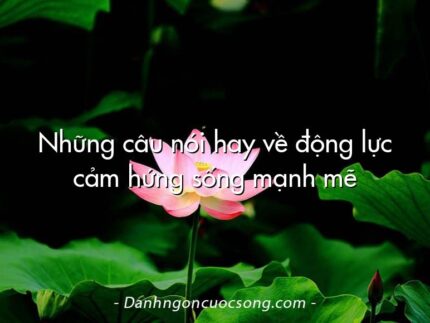 Những câu nói hay về động lực cảm hứng sống mạnh mẽ