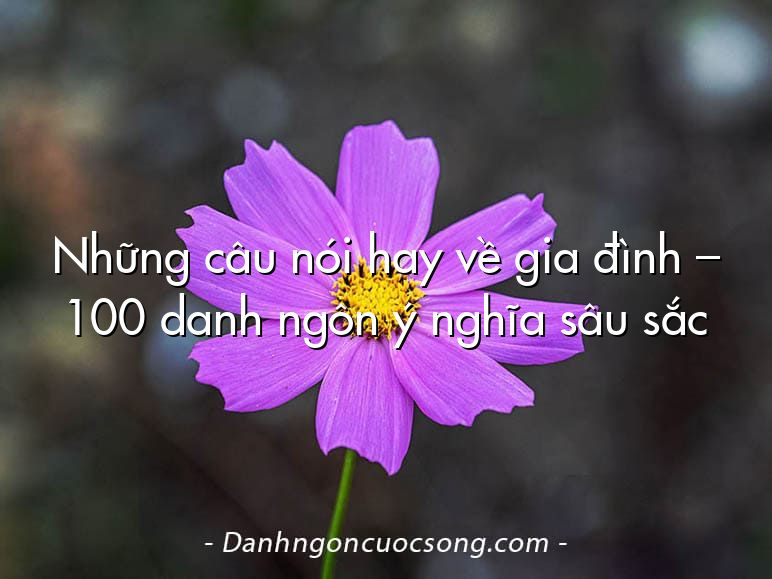 Những câu nói hay về gia đình – 100 danh ngôn ý nghĩa sâu sắc