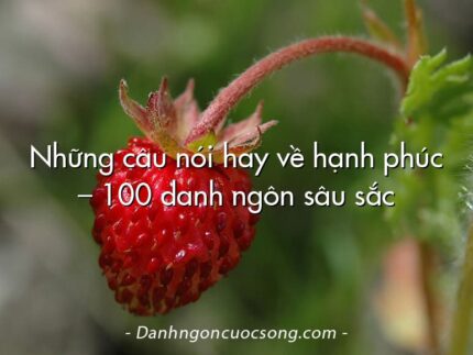 Những câu nói hay về hạnh phúc – 100 danh ngôn sâu sắc