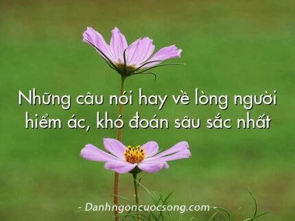 Những câu nói hay về lòng người hiểm ác, khó đoán sâu sắc nhất