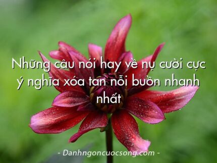 Những câu nói hay về nụ cười cực ý nghĩa xóa tan nỗi buồn nhanh nhất