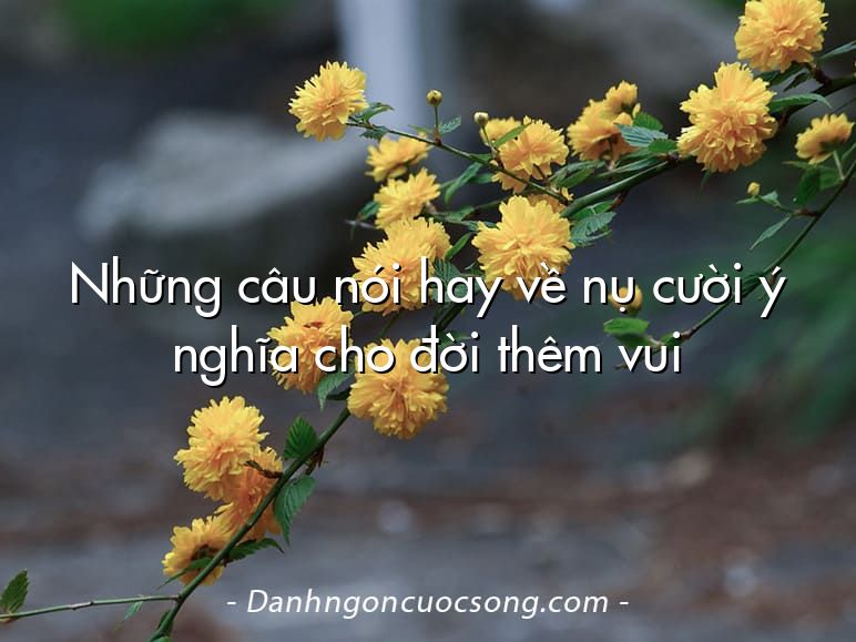 Những câu nói hay về nụ cười ý nghĩa cho đời thêm vui