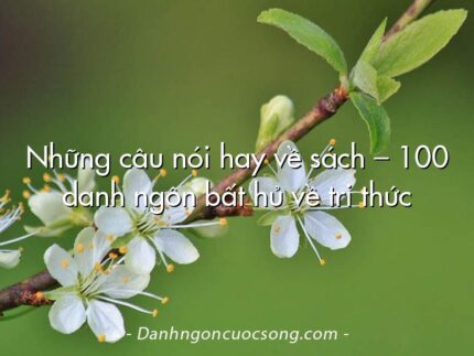 Những câu nói hay về sách – 100 danh ngôn bất hủ về tri thức