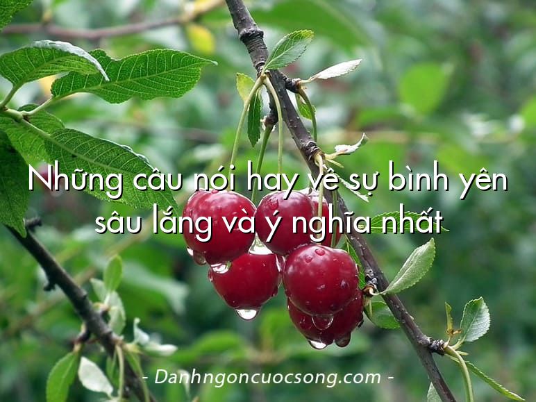 Những câu nói hay về sự bình yên sâu lắng và ý nghĩa nhất