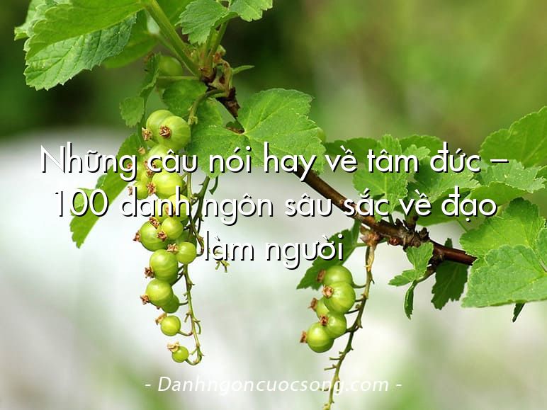 Những câu nói hay về tâm đức – 100 danh ngôn sâu sắc về đạo làm người