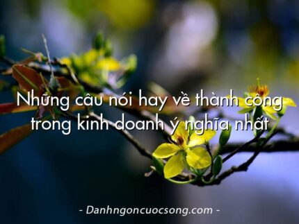 Những câu nói hay về thành công trong kinh doanh ý nghĩa nhất