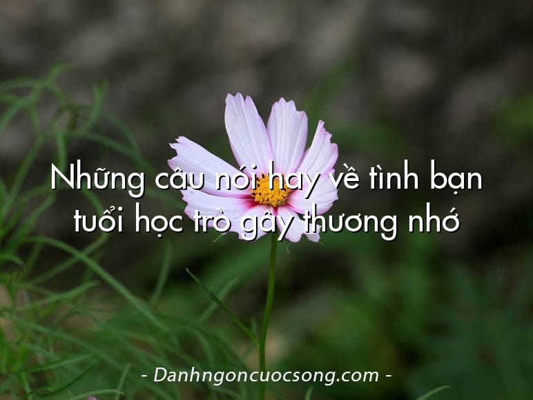 Những câu nói hay về tình bạn tuổi học trò gây thương nhớ