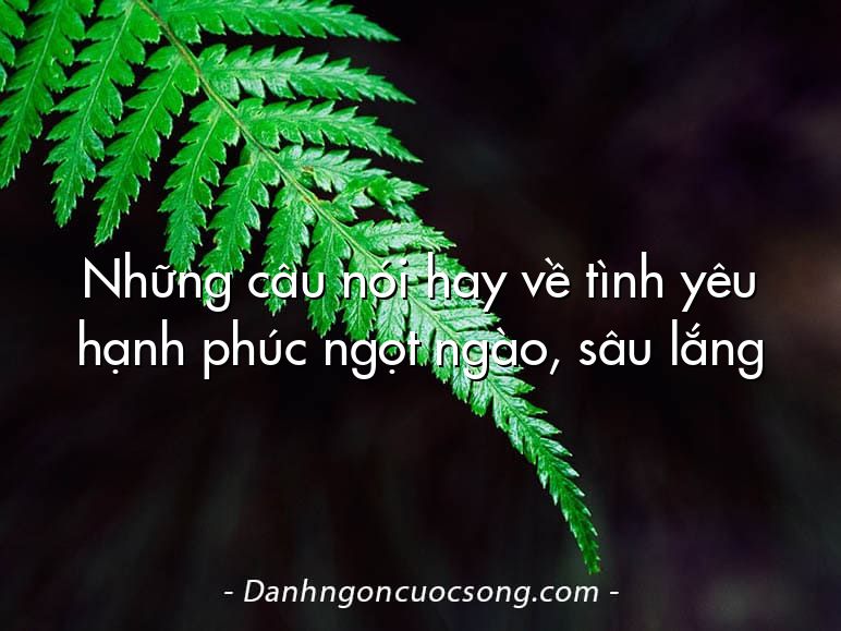 Những câu nói hay về tình yêu hạnh phúc ngọt ngào, sâu lắng