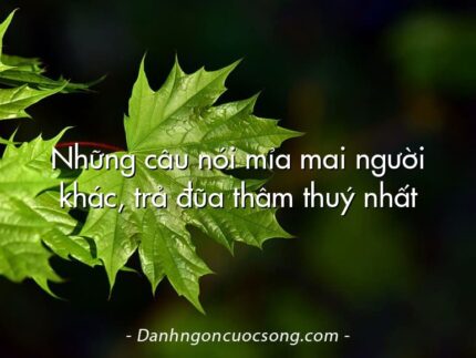 Những câu nói mỉa mai người khác, trả đũa thâm thuý nhất