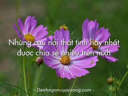 Những câu nói thất tình hay nhất được chia sẻ nhiều trên mxh