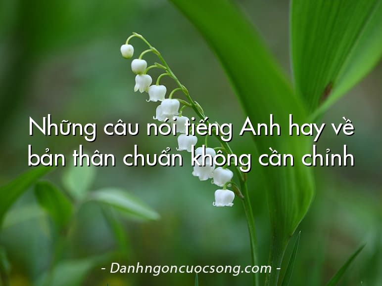 Những câu nói tiếng Anh hay về bản thân chuẩn không cần chỉnh