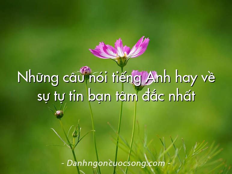 Những câu nói tiếng Anh hay về sự tự tin bạn tâm đắc nhất