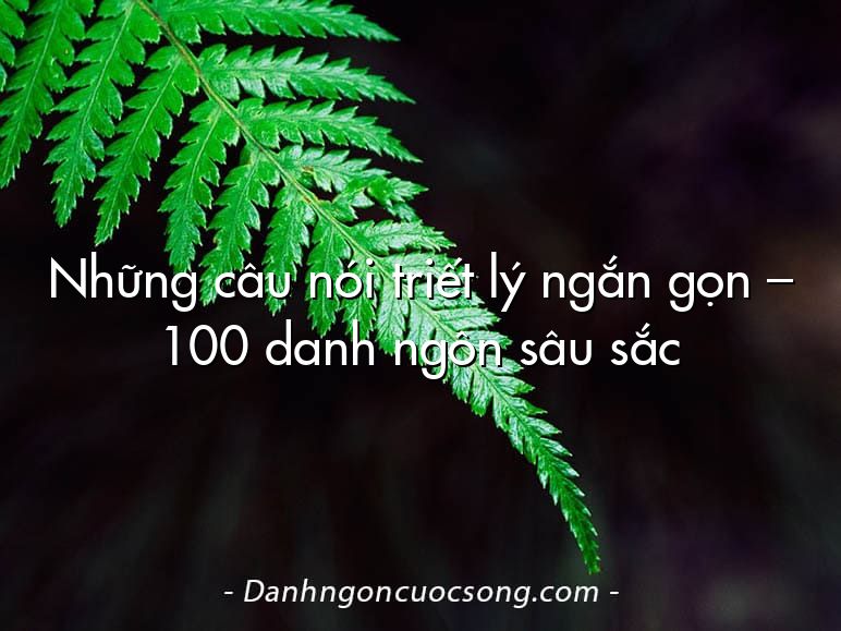 Những câu nói triết lý ngắn gọn – 100 danh ngôn sâu sắc
