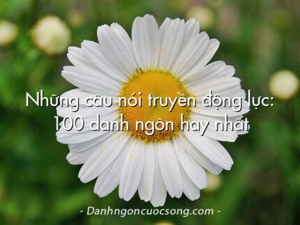 Những câu nói truyền động lực: 100 danh ngôn hay nhất