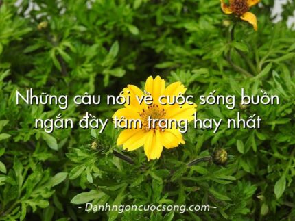 Những câu nói về cuộc sống buồn ngắn đầy tâm trạng hay nhất