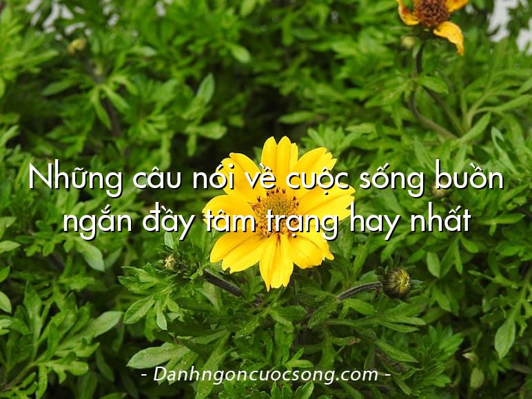 Những câu nói về cuộc sống buồn ngắn đầy tâm trạng hay nhất