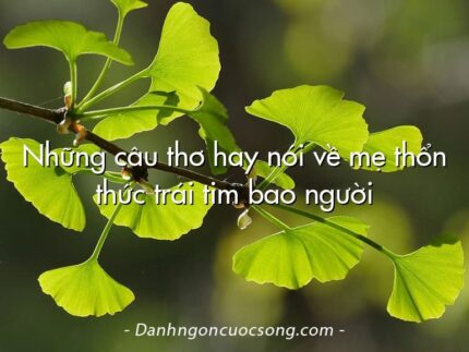 Những câu thơ hay nói về mẹ thổn thức trái tim bao người