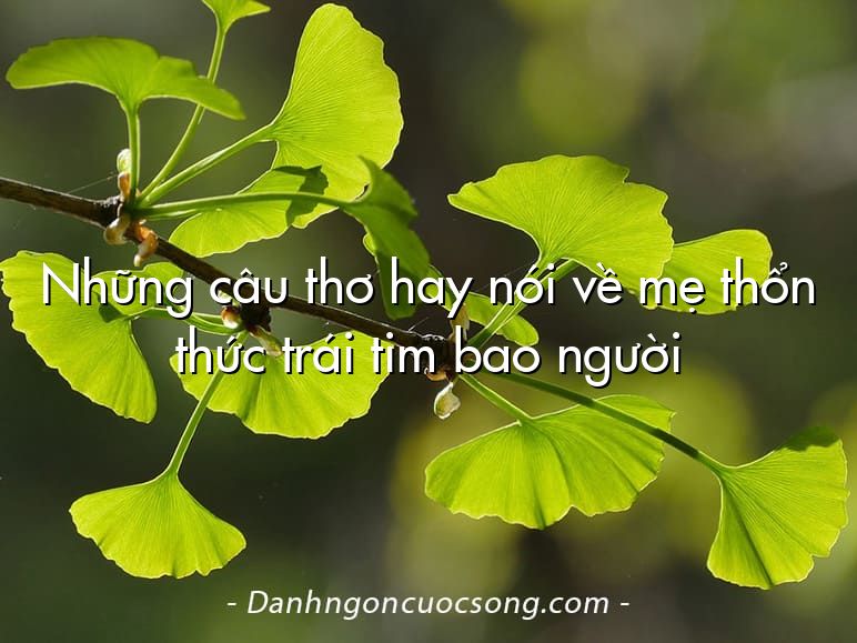 Những câu thơ hay nói về mẹ thổn thức trái tim bao người