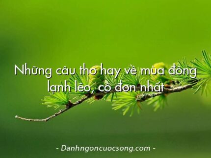 Những câu thơ hay về mùa đông lạnh lẽo, cô đơn nhất