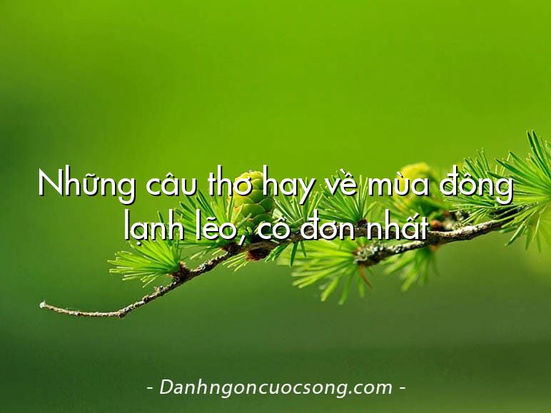 Những câu thơ hay về mùa đông lạnh lẽo, cô đơn nhất
