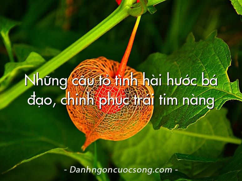 Những câu tỏ tình hài hước bá đạo, chinh phục trái tim nàng