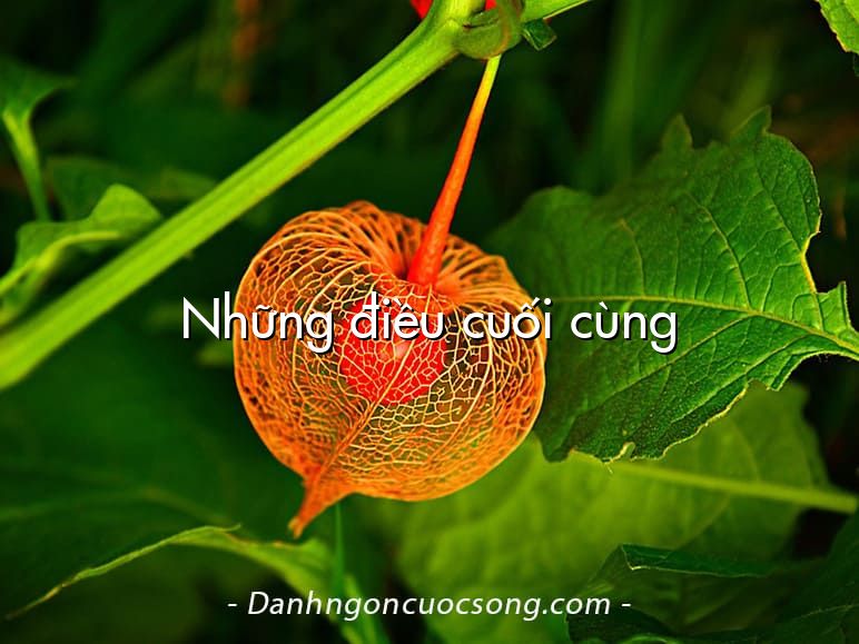 Những điều cuối cùng