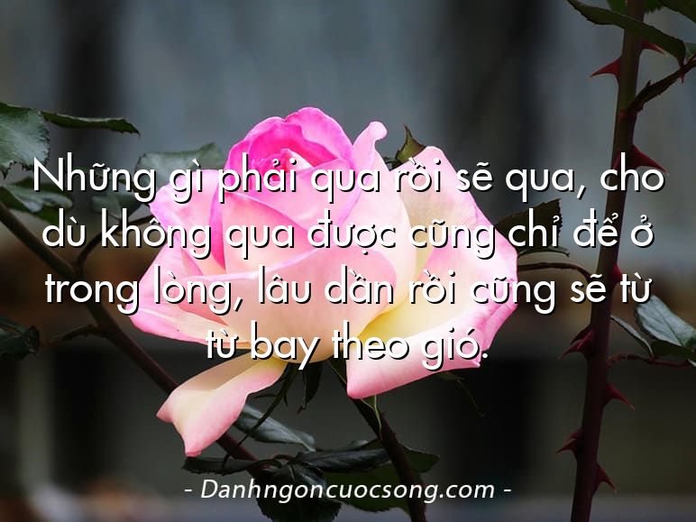 Những gì phải qua rồi sẽ qua, cho dù không qua được cũng chỉ để ở trong lòng, lâu dần rồi cũng sẽ từ từ bay theo gió.