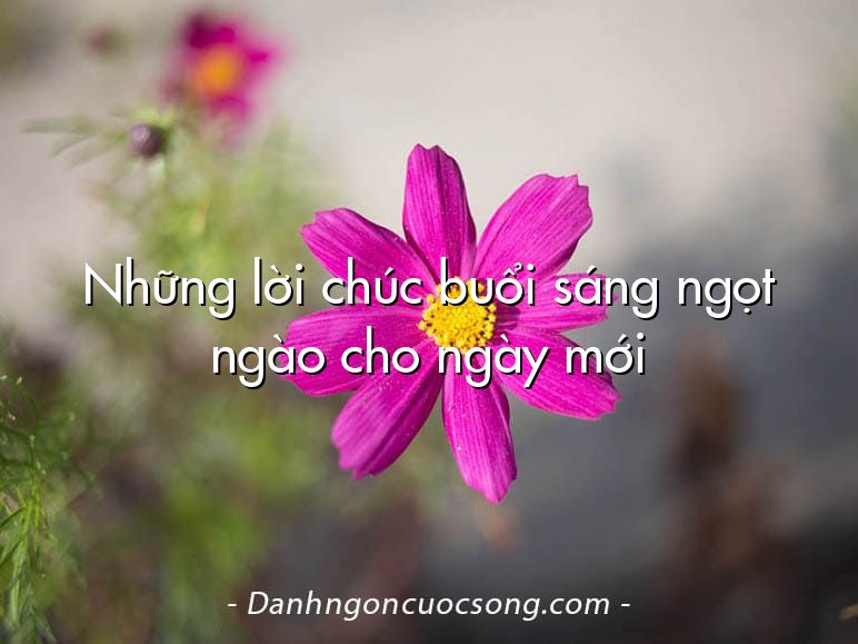 Những lời chúc buổi sáng ngọt ngào cho ngày mới